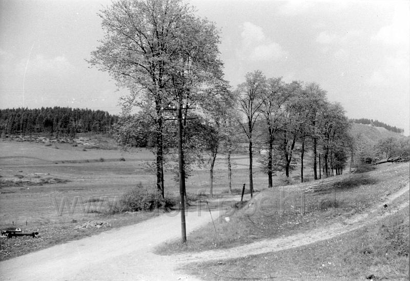 neu (25).jpg - Weg von Gansgrün Richtung Pöhl